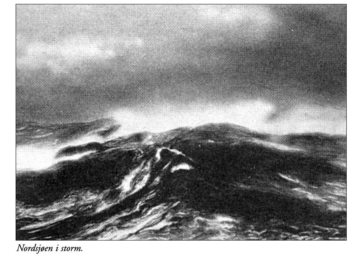 Floraminne 2005 Page 47