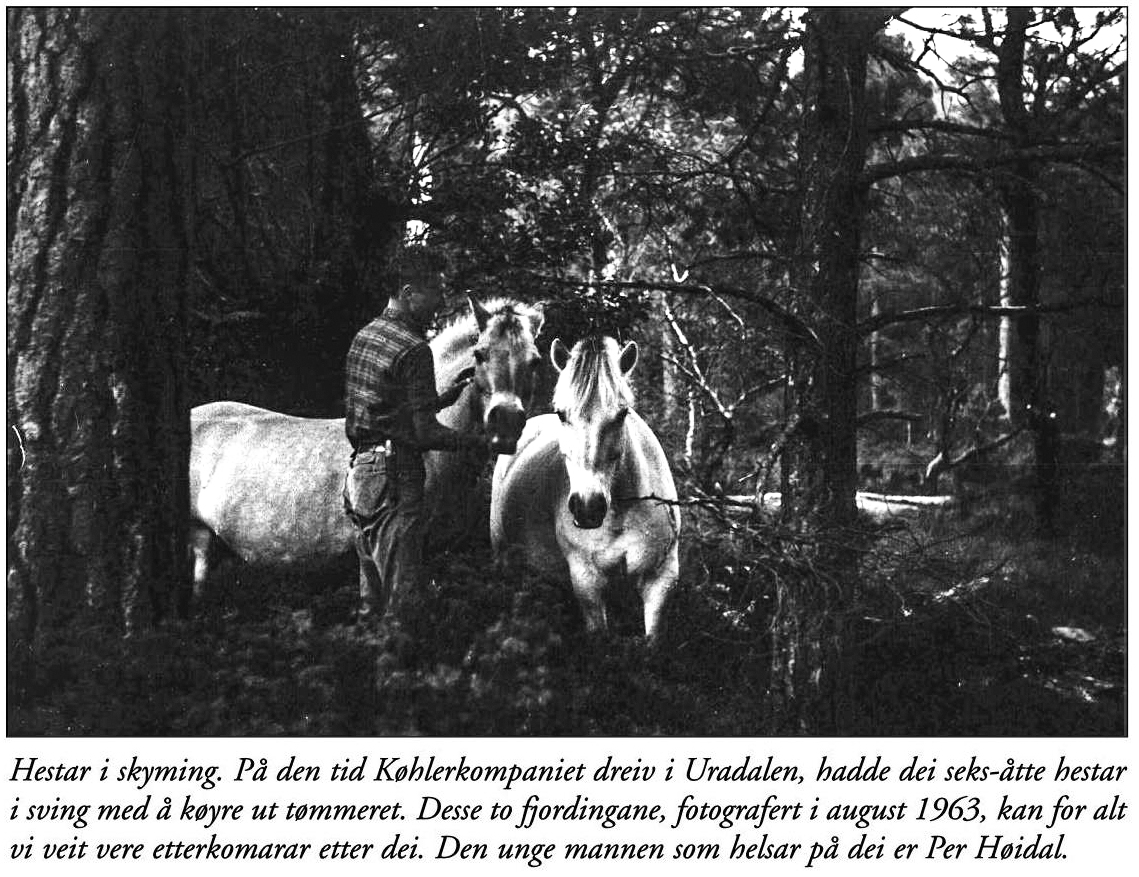 Floraminne 2005 Page 68