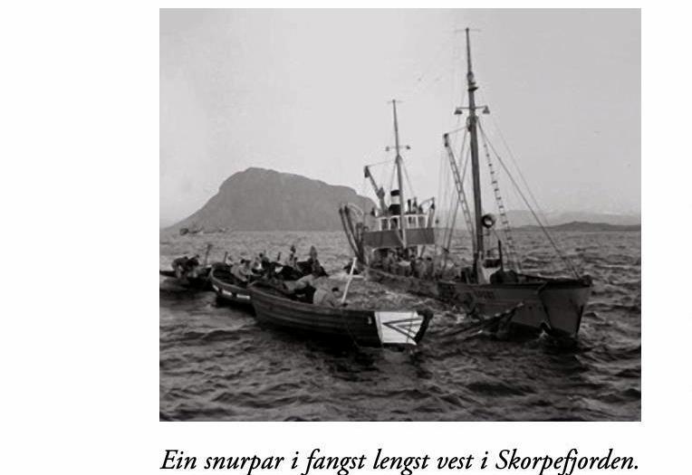 Floraminne 2008 Page 56