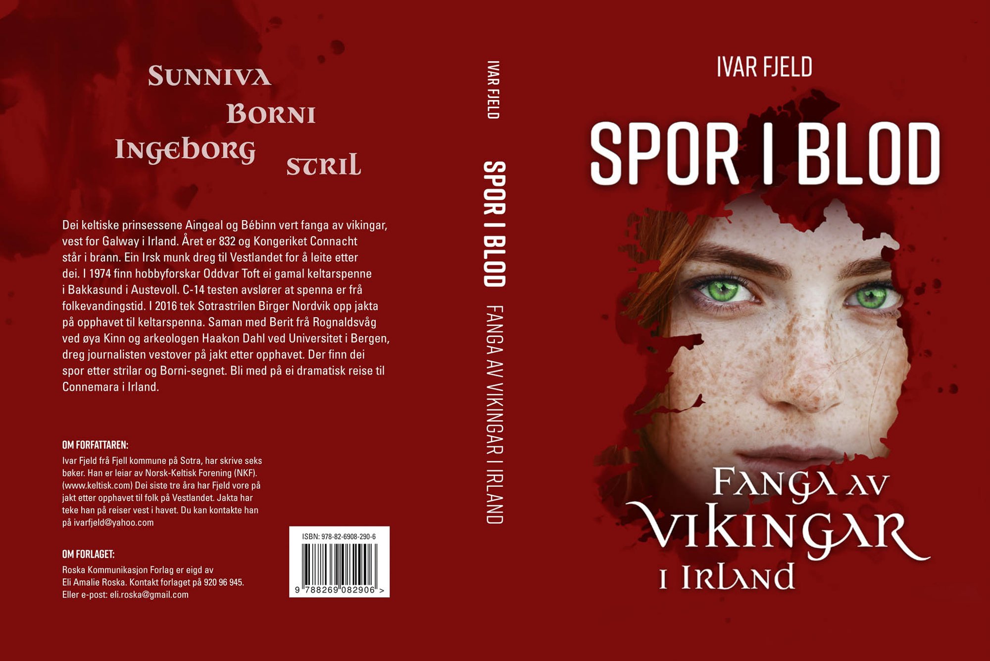 bokmelding iralnd vikingar